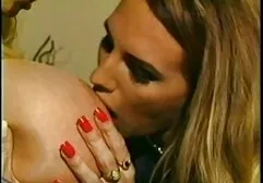 Animated Babe Striptease và Tit Shaking sec ba gia my