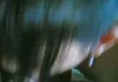 Thùng lớn cho sec ba gia my chó cái