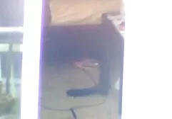 Pocahontas được cô ấy ba gia sec đít như một món quà