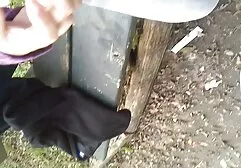 Chụp ảnh một con chó cái lông dài phim sec may bay ba ra tuyệt đẹp