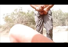 Những con chó xem phim sec ba gia cái vui đùa trên biển với những con bò đực của chúng