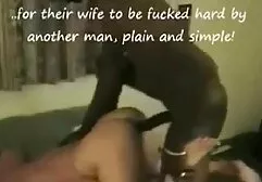 Brunettes vuốt ve mèo trên máy xem sec ba gia ảnh